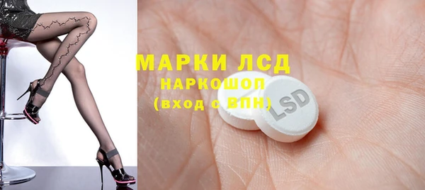 ПСИЛОЦИБИНОВЫЕ ГРИБЫ Верхнеуральск