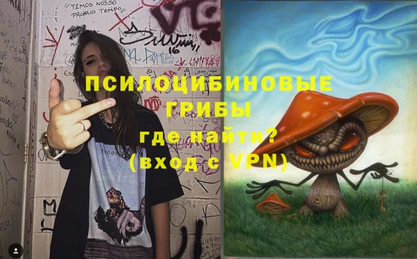 ПСИЛОЦИБИНОВЫЕ ГРИБЫ Верхнеуральск
